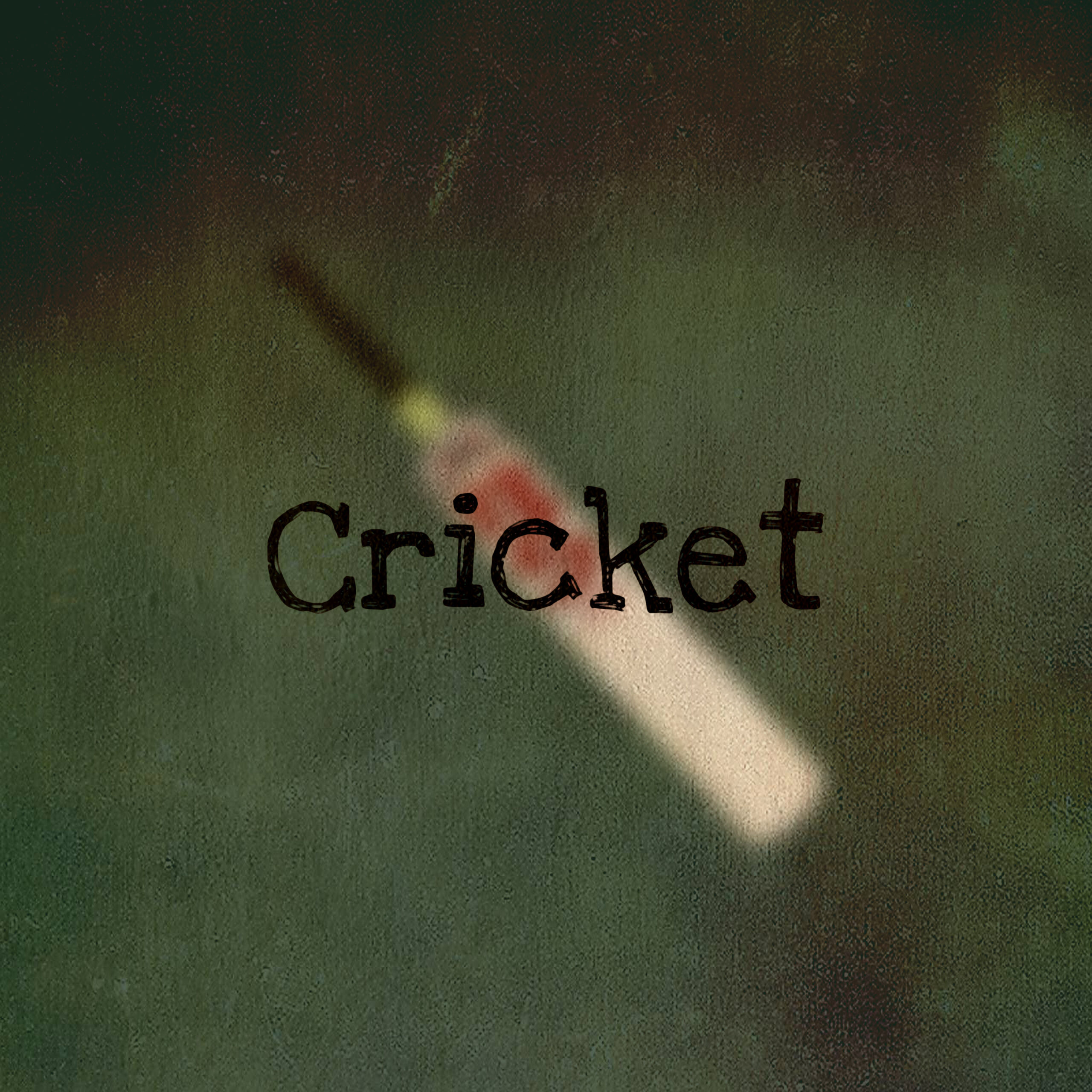 Cricket
